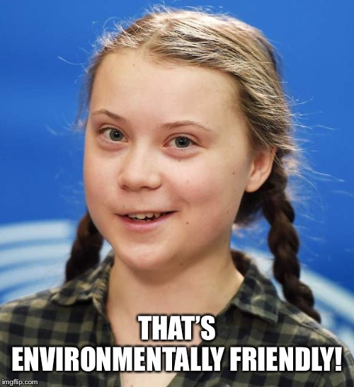 Greta Thunberg | THAT’S ENVIRONMENTALLY FRIENDLY! | image tagged in greta thunberg | made w/ Imgflip meme maker