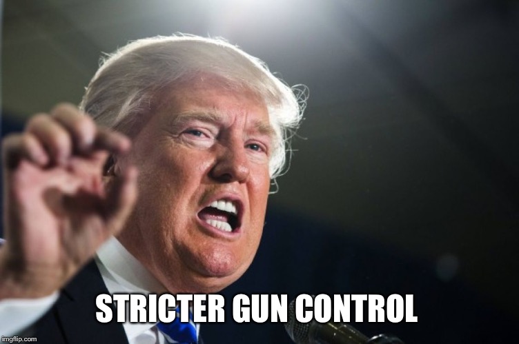 donald trump | STRICTER GUN CONTROL | image tagged in donald trump | made w/ Imgflip meme maker