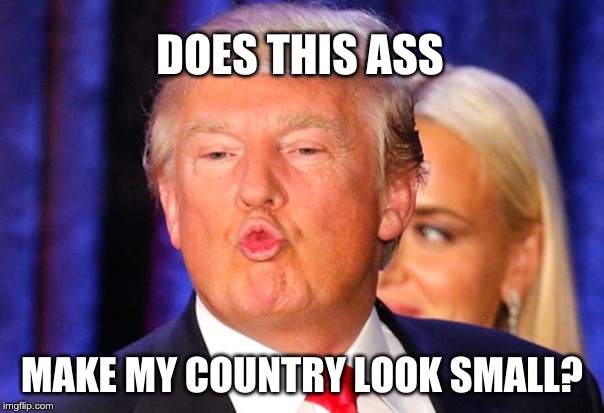 Donald Trump kiss face | DOES THIS ASS; MAKE MY COUNTRY LOOK SMALL? | image tagged in donald trump kiss face | made w/ Imgflip meme maker