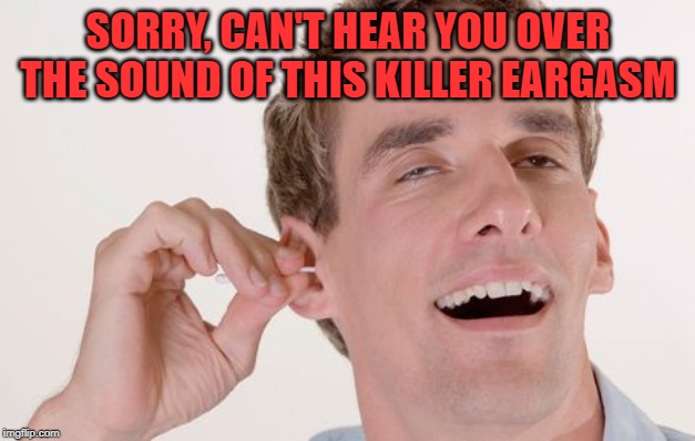 eargasm | SORRY, CAN'T HEAR YOU OVER THE SOUND OF THIS KILLER EARGASM | image tagged in eargasm | made w/ Imgflip meme maker