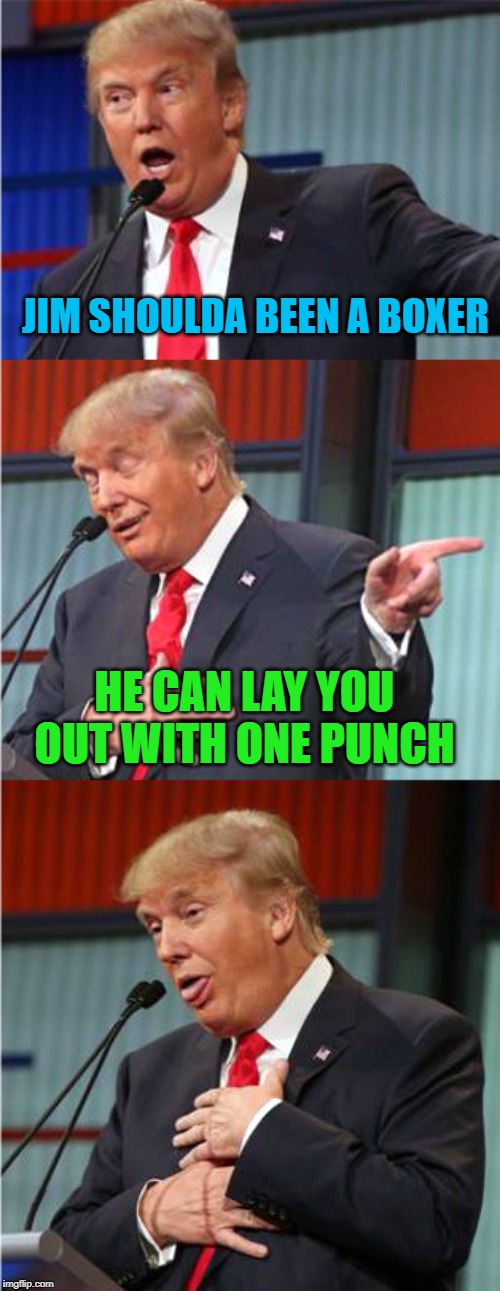 Bad Pun Trump | JIM SHOULDA BEEN A BOXER HE CAN LAY YOU OUT WITH ONE PUNCH | image tagged in bad pun trump | made w/ Imgflip meme maker