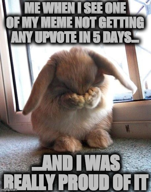 Why ? | ME WHEN I SEE ONE OF MY MEME NOT GETTING ANY UPVOTE IN 5 DAYS... ...AND I WAS REALLY PROUD OF IT | image tagged in embarrassed bunny,memes,meme,sad,fun,upvotes | made w/ Imgflip meme maker