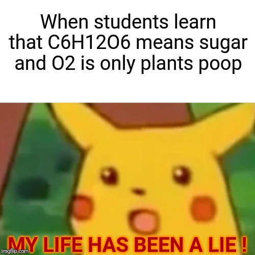 Surprised Pikachu Meme | When students learn that C6H12O6 means sugar and O2 is only plants poop MY LIFE HAS BEEN A LIE ! | image tagged in memes,surprised pikachu | made w/ Imgflip meme maker