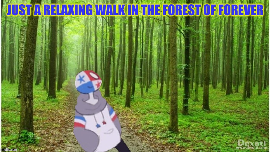 It's really relaxing | JUST A RELAXING WALK IN THE FOREST OF FOREVER | image tagged in countryhumans,forest | made w/ Imgflip meme maker