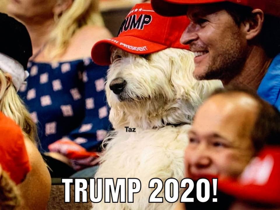 High Quality Trump 2020 Blank Meme Template