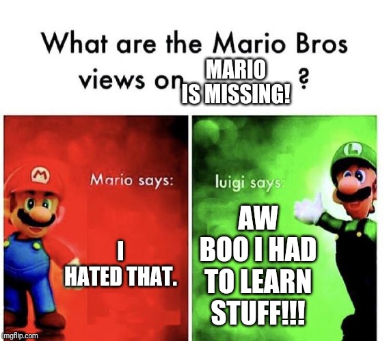 Mario Bros Views | MARIO IS MISSING! I HATED THAT. AW BOO I HAD TO LEARN STUFF!!! | image tagged in mario bros views | made w/ Imgflip meme maker