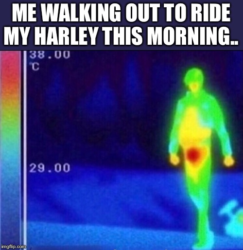 ME WALKING OUT TO RIDE MY HARLEY THIS MORNING.. | image tagged in harley | made w/ Imgflip meme maker