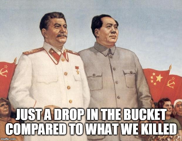 Stalin and Mao | JUST A DROP IN THE BUCKET COMPARED TO WHAT WE KILLED | image tagged in stalin and mao | made w/ Imgflip meme maker