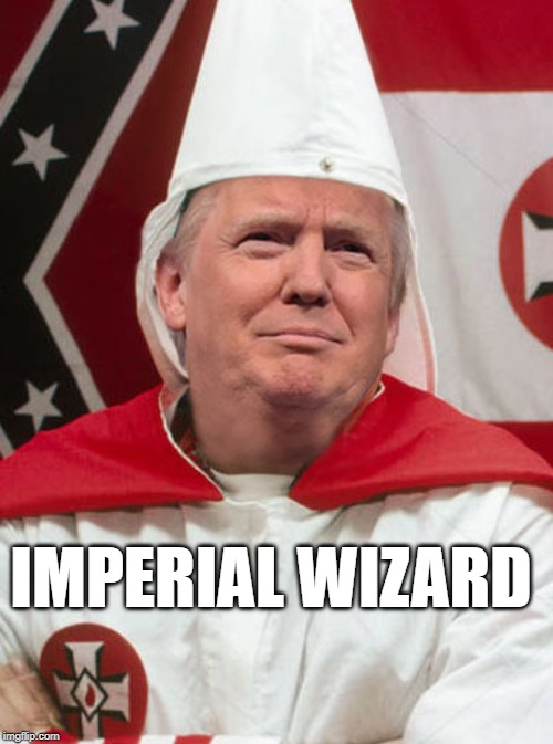 U.S. President | IMPERIAL WIZARD | image tagged in trump,white privilege,hatred | made w/ Imgflip meme maker