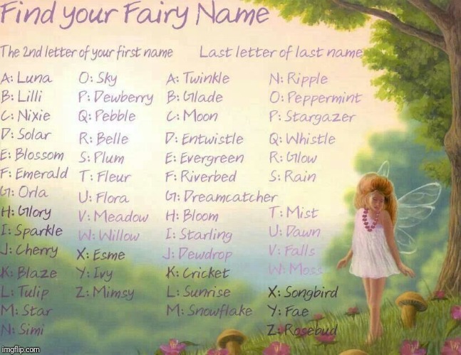 What is your fairy name. Mine is "Glory Snowflake" | image tagged in fairy | made w/ Imgflip meme maker