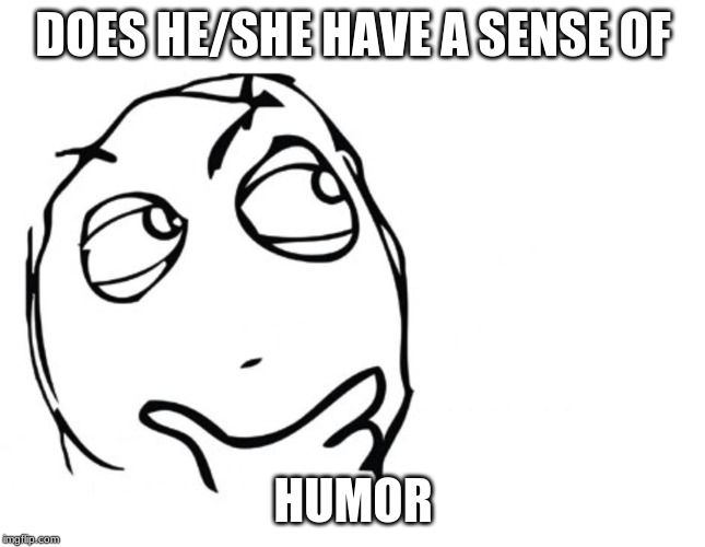 hmmm | DOES HE/SHE HAVE A SENSE OF HUMOR | image tagged in hmmm | made w/ Imgflip meme maker