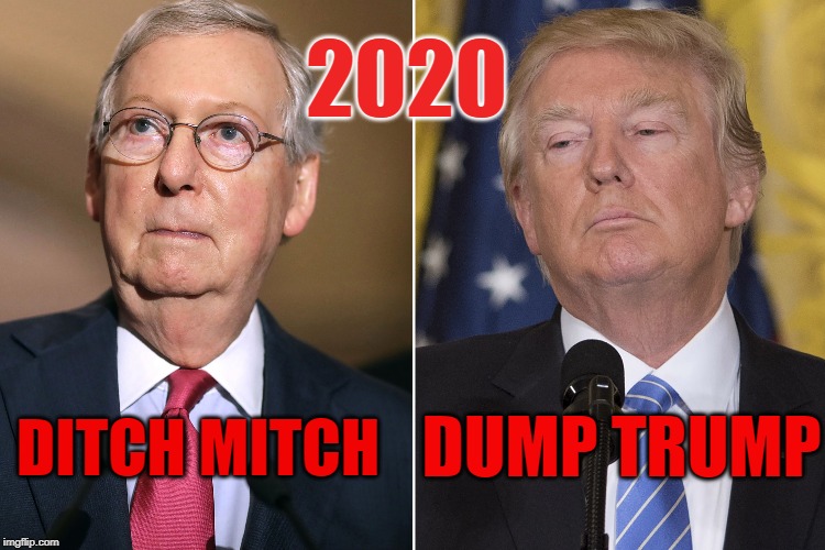 Dump Trump, Ditch Mitch, 2020. | 2020; DITCH MITCH; DUMP TRUMP | image tagged in trump,mitch mcconnell | made w/ Imgflip meme maker