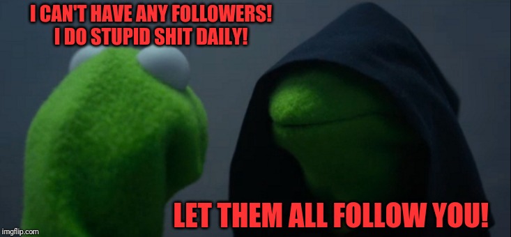 Evil Kermit | I CAN'T HAVE ANY FOLLOWERS! I DO STUPID SHIT DAILY! LET THEM ALL FOLLOW YOU! | image tagged in memes,evil kermit | made w/ Imgflip meme maker