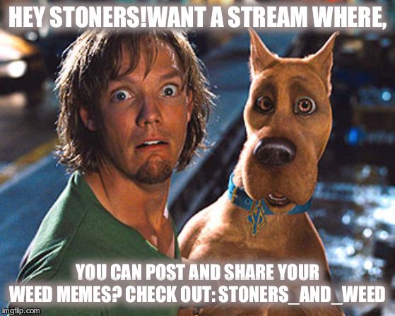 stoner meme | HEY STONERS!WANT A STREAM WHERE, YOU CAN POST AND SHARE YOUR WEED MEMES? CHECK OUT: STONERS_AND_WEED | image tagged in stoner meme | made w/ Imgflip meme maker