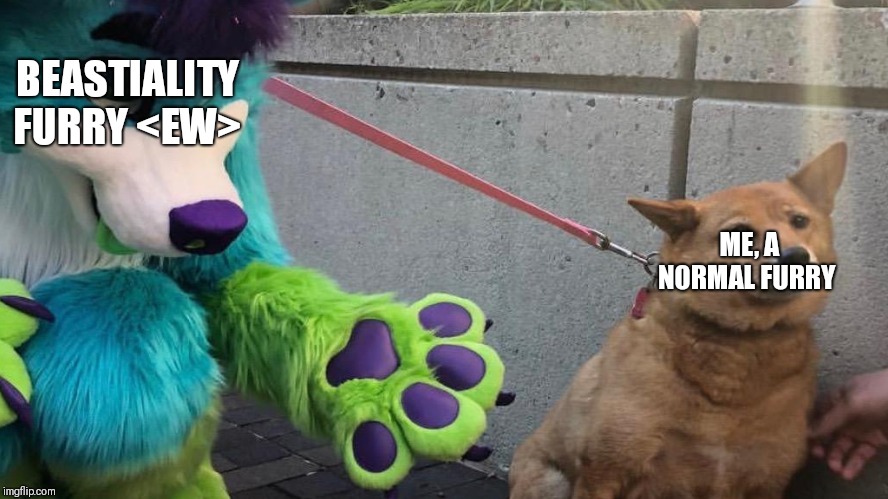 Furry scaring dog |  BEASTIALITY FURRY <EW>; ME, A NORMAL FURRY | image tagged in furry scaring dog | made w/ Imgflip meme maker