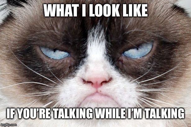 grumpy cats face | WHAT I LOOK LIKE; IF YOU’RE TALKING WHILE I’M TALKING | image tagged in grumpy cats face | made w/ Imgflip meme maker