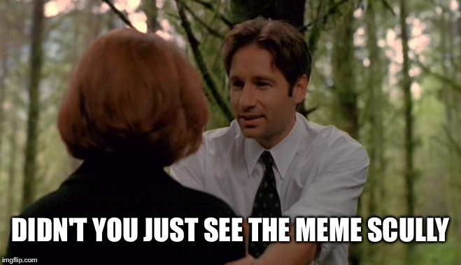 Mulder scully chill | DIDN'T YOU JUST SEE THE MEME SCULLY | image tagged in mulder scully chill | made w/ Imgflip meme maker