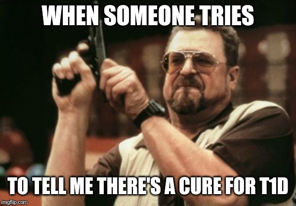 Am I The Only One Around Here Meme | WHEN SOMEONE TRIES; TO TELL ME THERE'S A CURE FOR T1D | image tagged in memes,am i the only one around here | made w/ Imgflip meme maker
