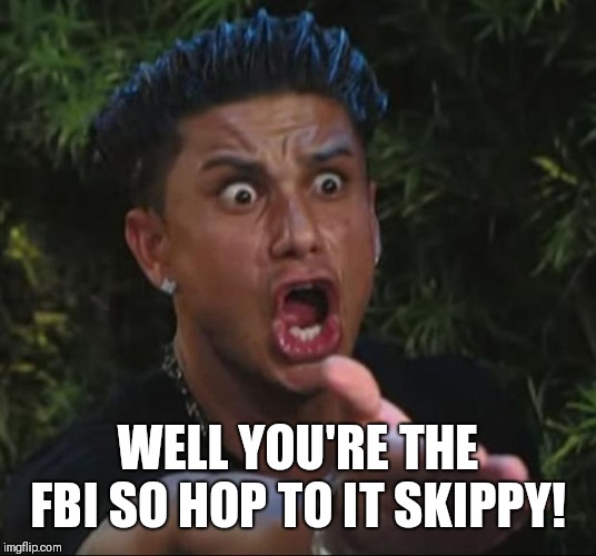 DJ Pauly D Meme | WELL YOU'RE THE FBI SO HOP TO IT SKIPPY! | image tagged in memes,dj pauly d | made w/ Imgflip meme maker