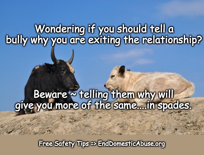 How to Leave a Bully | Wondering if you should tell a bully why you are exiting the relationship? Beware ~ telling them why will give you more of the same....in spades. Free Safety Tips => EndDomesticAbuse.org | image tagged in bullying,bully,domestic abuse | made w/ Imgflip meme maker