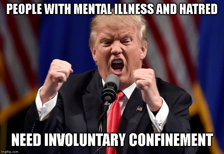 Put Trump in a Institution for the Criminally Insane | PEOPLE WITH MENTAL ILLNESS AND HATRED; NEED INVOLUNTARY CONFINEMENT | image tagged in hater,hate speech,racist,mentally ill,impeach trump | made w/ Imgflip meme maker