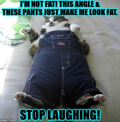 I'M NOT FAT | I'M NOT FAT! THIS ANGLE & THESE PANTS JUST MAKE ME LOOK FAT. STOP LAUGHING! | image tagged in i'm not fat | made w/ Imgflip meme maker