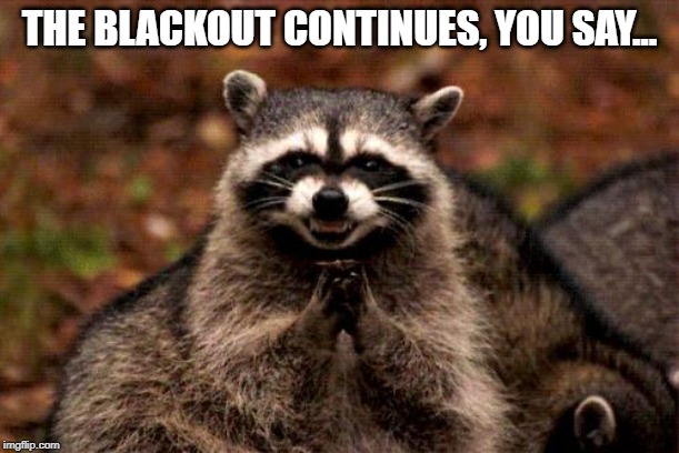 Evil Plotting Raccoon Meme | THE BLACKOUT CONTINUES, YOU SAY... | image tagged in memes,evil plotting raccoon | made w/ Imgflip meme maker