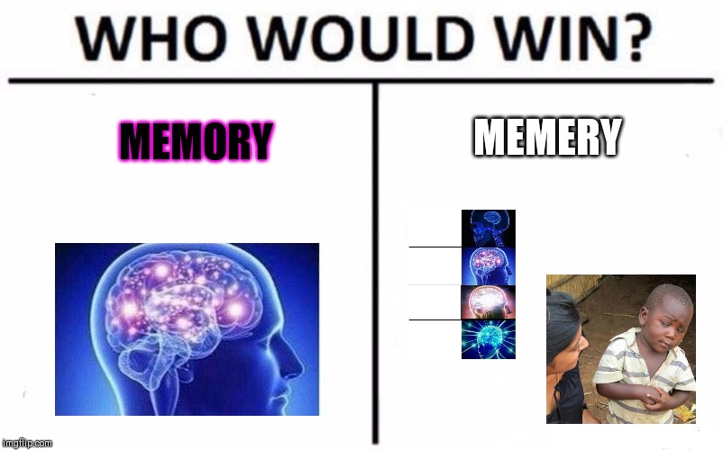 Who Would Win? Meme | MEMORY; MEMERY | image tagged in memes,who would win | made w/ Imgflip meme maker