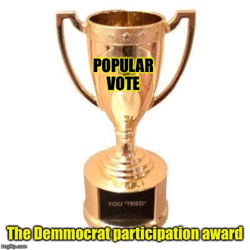 Hillary won the participation vote | POPULAR VOTE; The Demmocrat participation award | image tagged in participation trophy,popular vote | made w/ Imgflip meme maker