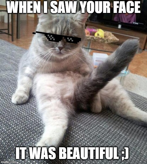 Sexy Cat | WHEN I SAW YOUR FACE; IT WAS BEAUTIFUL ;) | image tagged in memes,sexy cat | made w/ Imgflip meme maker