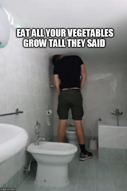 tall | EAT ALL YOUR VEGETABLES GROW TALL THEY SAID | image tagged in tall | made w/ Imgflip meme maker
