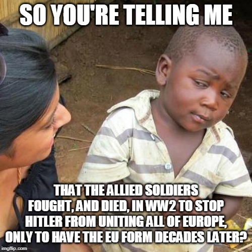 Third World Skeptical Kid | SO YOU'RE TELLING ME; THAT THE ALLIED SOLDIERS FOUGHT, AND DIED, IN WW2 TO STOP HITLER FROM UNITING ALL OF EUROPE, ONLY TO HAVE THE EU FORM DECADES LATER? | image tagged in memes,third world skeptical kid | made w/ Imgflip meme maker
