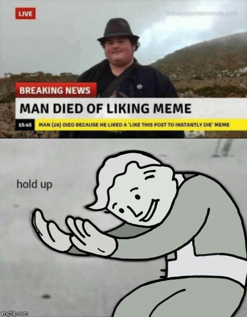 image tagged in man died of liking meme | made w/ Imgflip meme maker