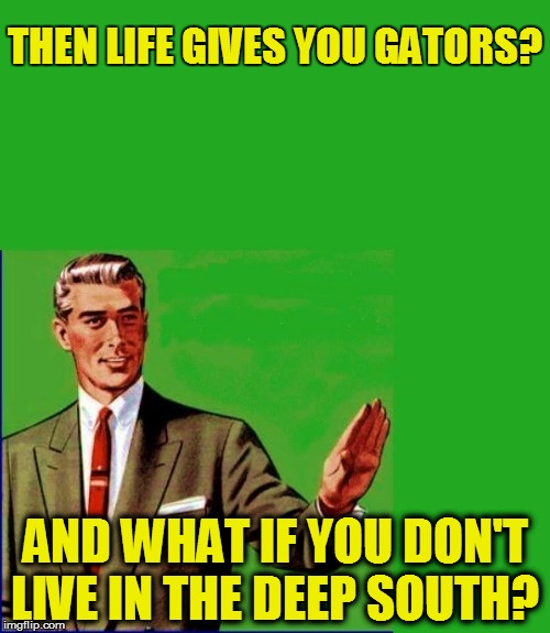 AND WHAT IF YOU DON'T LIVE IN THE DEEP SOUTH? THEN LIFE GIVES YOU GATORS? | made w/ Imgflip meme maker
