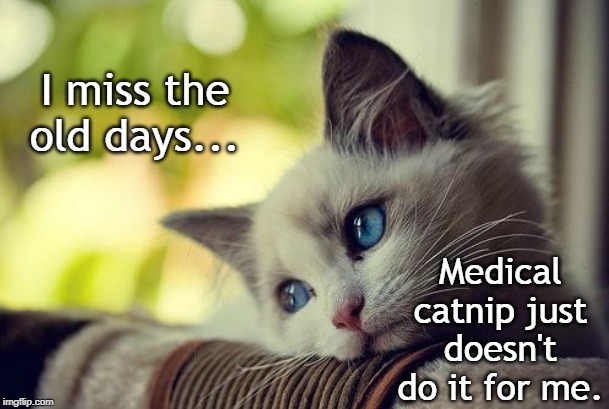 Scratching the furniture seems so pointless now. | I miss the old days... Medical catnip just doesn't do it for me. | image tagged in memes,first world problems cat,catnip,medical marijuana | made w/ Imgflip meme maker