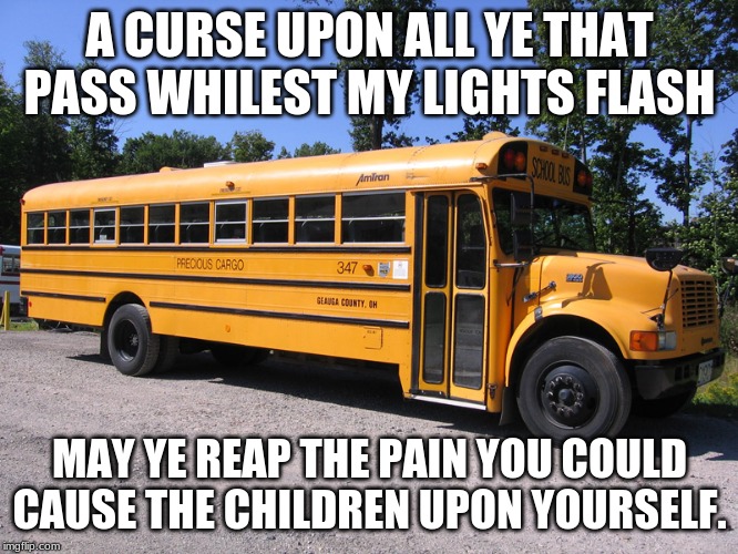 Beware the Bus Driver's curse | A CURSE UPON ALL YE THAT PASS WHILEST MY LIGHTS FLASH; MAY YE REAP THE PAIN YOU COULD CAUSE THE CHILDREN UPON YOURSELF. | image tagged in school bus,bus drivers curse,do the right thing,protect the children,anyone that passes a stopped school bus is pure trash,the c | made w/ Imgflip meme maker