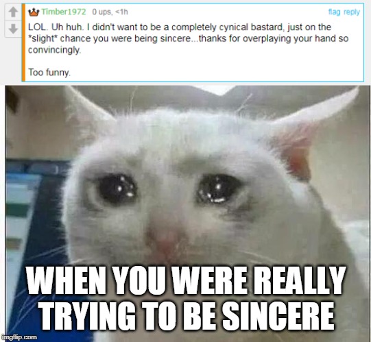 And he still thinks I was lying :( | WHEN YOU WERE REALLY TRYING TO BE SINCERE | image tagged in crying cat,timber1972,sad | made w/ Imgflip meme maker