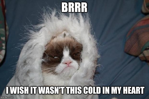 Cold grumpy cat  | BRRR; I WISH IT WASN'T THIS COLD IN MY HEART | image tagged in cold grumpy cat | made w/ Imgflip meme maker