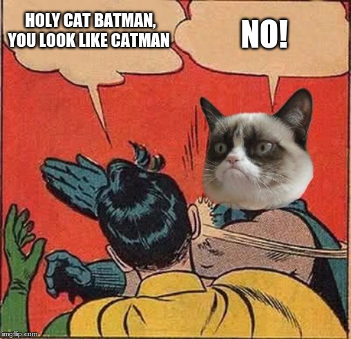 Grumpy Cat Slapping Robin | HOLY CAT BATMAN, YOU LOOK LIKE CATMAN; NO! | image tagged in grumpy cat slapping robin | made w/ Imgflip meme maker