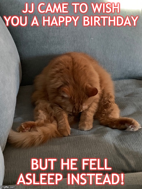 JJ CAME TO WISH YOU A HAPPY BIRTHDAY; BUT HE FELL ASLEEP INSTEAD! | image tagged in cats,happy birthday | made w/ Imgflip meme maker