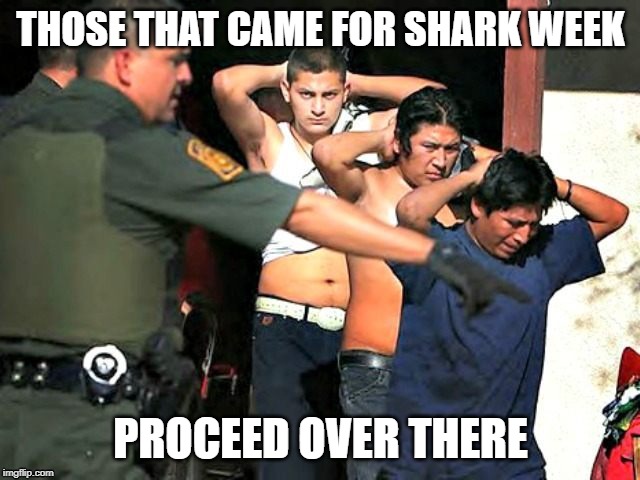 Illegal Alien Shark Week | THOSE THAT CAME FOR SHARK WEEK; PROCEED OVER THERE | image tagged in illegal aliens,shark week | made w/ Imgflip meme maker