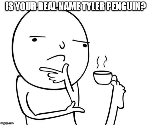 Hmmm | IS YOUR REAL NAME TYLER PENGUIN? | image tagged in hmmm | made w/ Imgflip meme maker
