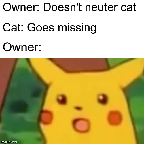 Surprised Pikachu | Owner: Doesn't neuter cat; Cat: Goes missing; Owner: | image tagged in memes,surprised pikachu | made w/ Imgflip meme maker