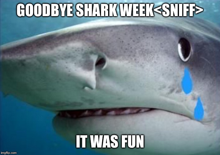 Why did it end so early!? P.S. thank you imgflip community for helping me reach 6000 points! | GOODBYE SHARK WEEK<SNIFF>; IT WAS FUN | image tagged in memes,shark week,sad shark | made w/ Imgflip meme maker