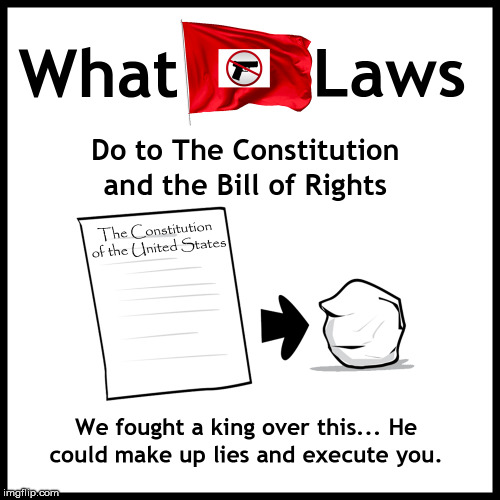 Why you shouldn't support Red Flag laws... | image tagged in red flag,gun control,gun laws,us constitution | made w/ Imgflip meme maker