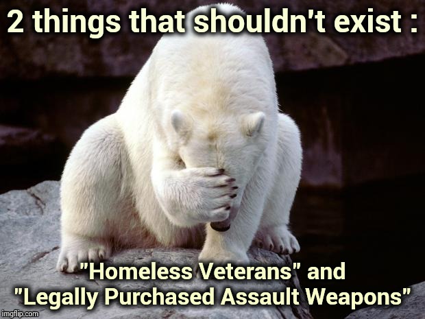 More proof that Politicians suck every day | 2 things that shouldn't exist :; "Homeless Veterans" and "Legally Purchased Assault Weapons" | image tagged in polar bear,politicians suck,shut up and take my money,impeach,look at all these,blank starter pack | made w/ Imgflip meme maker