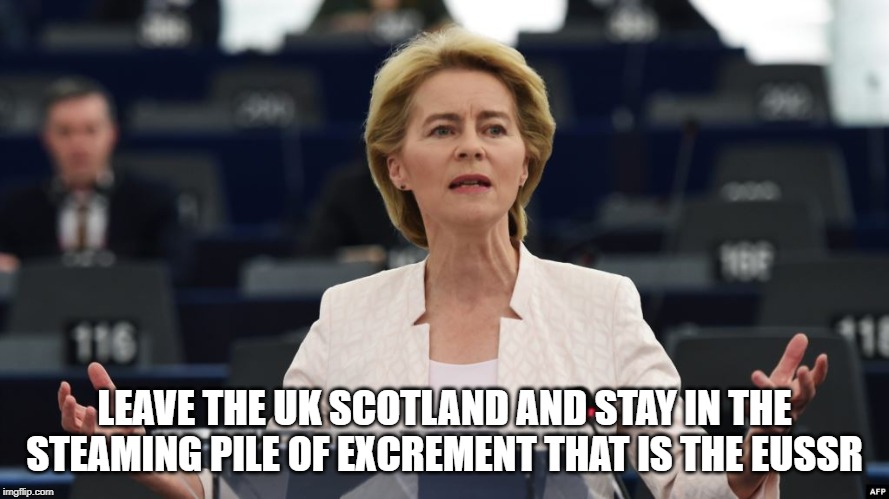 von der Leyen | LEAVE THE UK SCOTLAND AND STAY IN THE STEAMING PILE OF EXCREMENT THAT IS THE EUSSR | image tagged in von der leyen | made w/ Imgflip meme maker