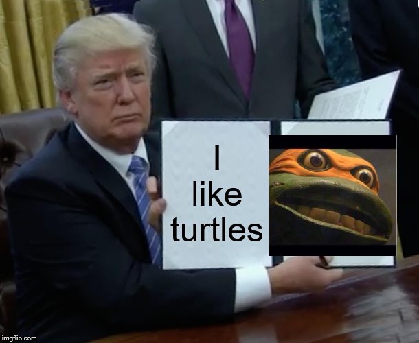 Trump Bill Signing Meme | I like turtles | image tagged in memes,trump bill signing | made w/ Imgflip meme maker