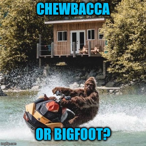 Yeti another vacation pic | CHEWBACCA; OR BIGFOOT? | image tagged in yeti ski | made w/ Imgflip meme maker