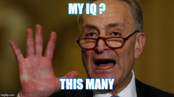 Chuck Schumer | MY IQ ? THIS MANY | image tagged in chuck schumer | made w/ Imgflip meme maker